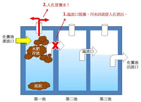 化糞池 原理